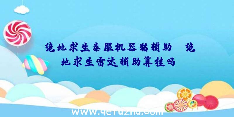 「绝地求生泰服机器猫辅助」|绝地求生雷达辅助算挂吗